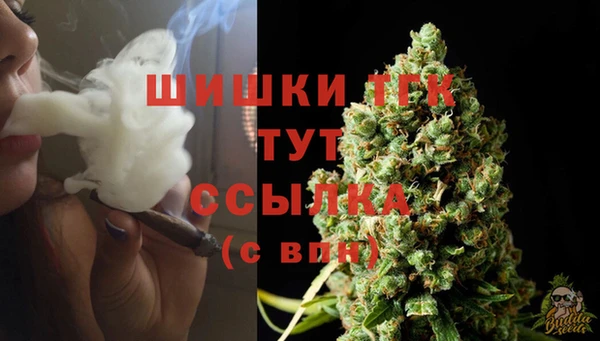 прущий лед Нея